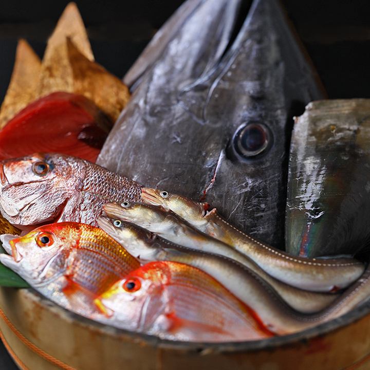 北海道を始め駿河湾、明石漁港、五島列島など全国から産地直送!