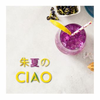 夏の宴クラフトビール2種含む2h飲み放付きディナーコース【朱夏のciao】お一人様6600円　全13品