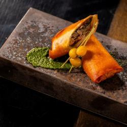 가을도어와 가지의 춘권