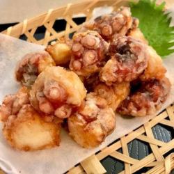 Deep-fried Hokkaido True Octopus