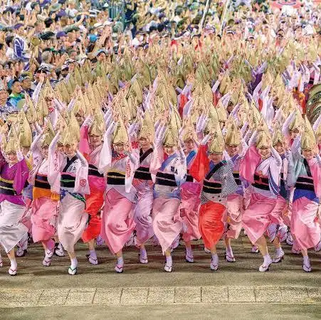 阿波踊りが観れる唯一の店