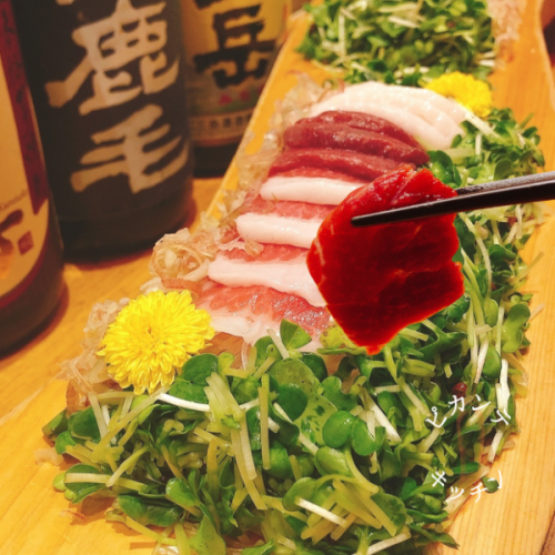 Purely domestic horsemeat sashimi that won Japan's best