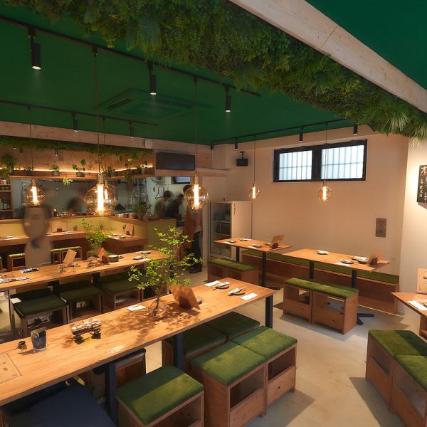 【6/1ニューオープン☆】植物が飾られたおしゃれな雰囲気が自慢の居酒屋◎緑と木の温もりを感じる落ち着いた空間です。少人数から大人数までご利用いただけます。同僚や友人との飲み会、女子会など、幅広いシーンで是非ご利用くださいませ。