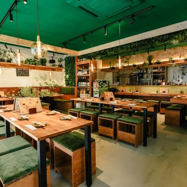 【6/1ニューオープン☆】植物が飾られたおしゃれな雰囲気が自慢の居酒屋◎緑と木の温もりを感じる落ち着いた空間です。少人数から大人数までご利用いただけます。同僚や友人との飲み会、女子会など、幅広いシーンで是非ご利用くださいませ。