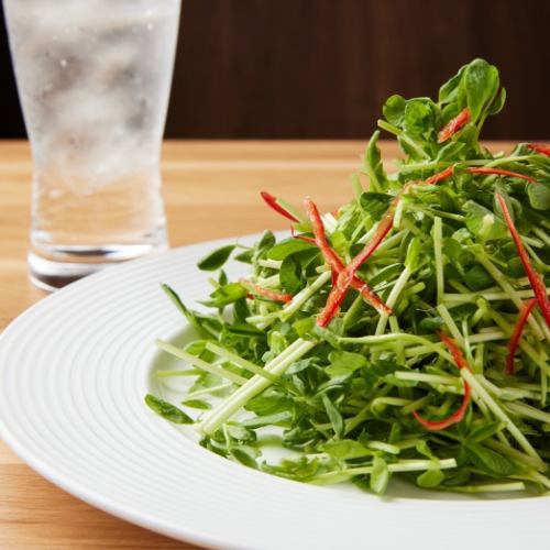 Stir-fried bean seedlings