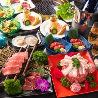 【僅限食物】為重要的紀念日增光添彩的肉餅週年紀念套餐<共10種>6,000日元（含稅）