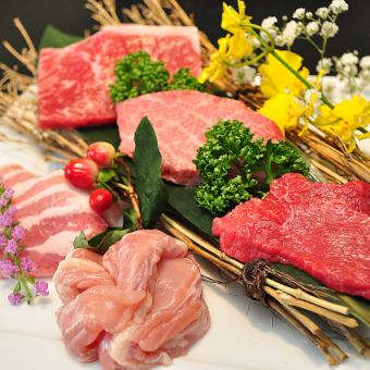 【新年假期感谢券：立减¥390】雅之午餐☆ 份量与品质兼备的美味午餐♪