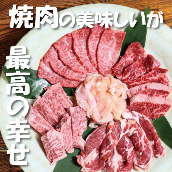 みんなでワイワイ焼肉盛り合わせ