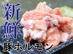 猪激素