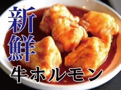 牛肉激素