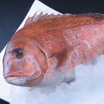 ◆愛媛県産高級養殖鯛【愛鯛あいたい】&こだわりの国産牛ヒレ堪能等全7種6500円※料理のみ