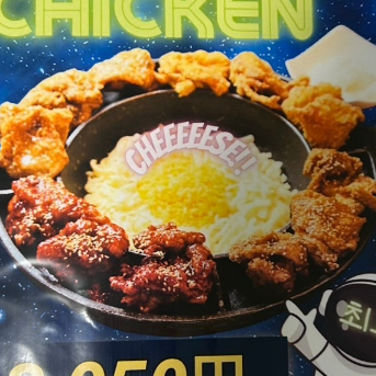UFO chicken
