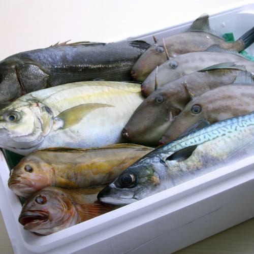 Sticking to freshness! Every day purchasing freshly prepared fish