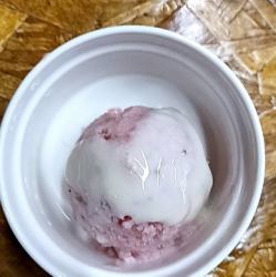 イチゴヨーグルトシャーベット