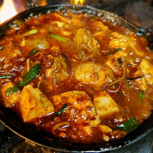 spicy mapo tofu