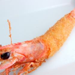 Prawn