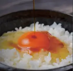 新潟産たまご