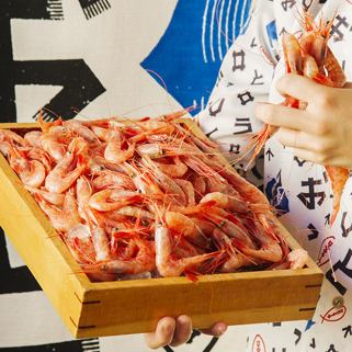 Grabbing sweet shrimp