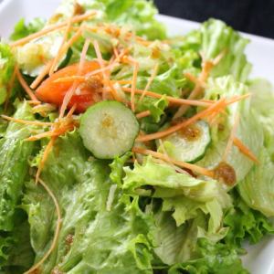 Ken special salad / spicy salad