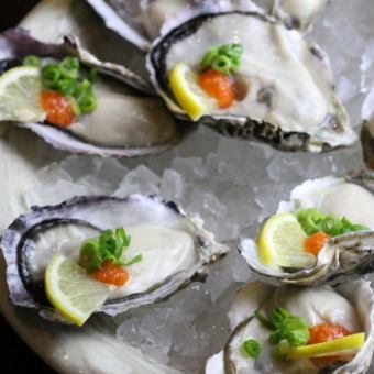 We offer a selection of fresh oysters selected from all over Japan every day!