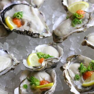 생굴과 하마야키 코스 2시간 음료 무제한 포함