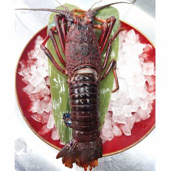 【web限定|伊勢海老づくしコース|10450円|全11品|お食事のみ|2名～OK】