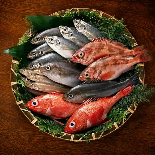 Enjoy fresh sashimi in Ikebukuro! A luxurious sashimi platter.