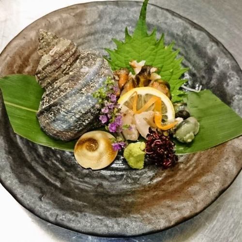 Sazae sashimi / Grilled turban shell