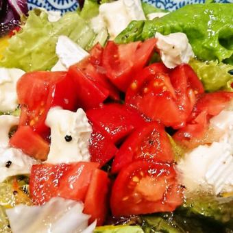 tomato and camembert salad