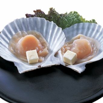 scallop