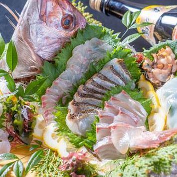 豪華船盛り！名物季節の魚の姿盛り