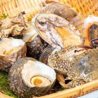 【料理のみ】＜江田島食材が満載!!七宝丸＞　SHIPPOUMARUにおまかせコース5000円から