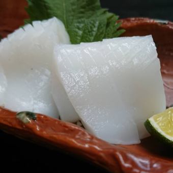 Bigfin reef squid sashimi