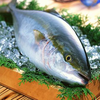 Hakodate first sashimi