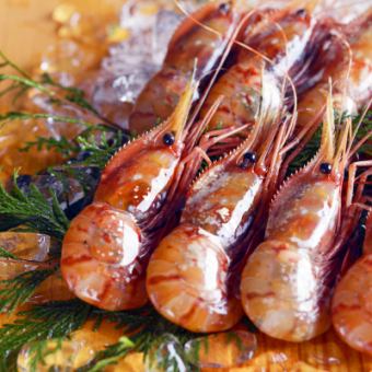 《Hakodate》 Botan shrimp