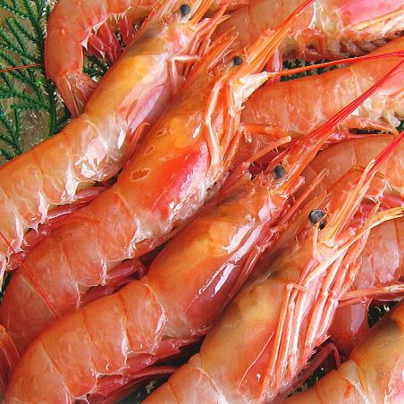 《Wakkanai / Rishiri / Rumoi》 Red shrimp sashimi