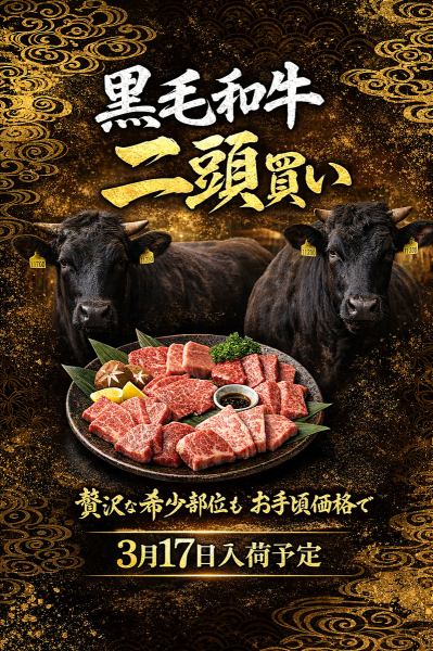 3月17日入荷予定！【黒毛和牛二頭買い】贅沢な希少部位もお手頃価格でご提供！