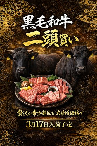 3月17日入荷予定！【黒毛和牛二頭買い】贅沢な希少部位もお手頃価格でご提供！