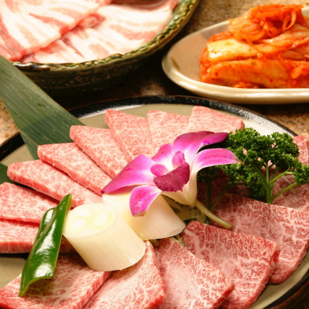 《黒桜コース》前菜からお肉約10種(牛&豚&ホルモン)・ご飯・デザート等全11品