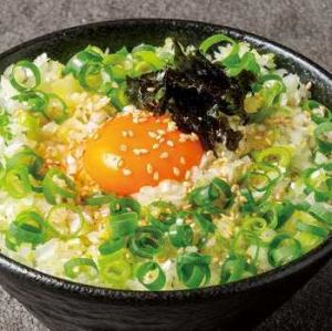 ねぎ玉ご飯