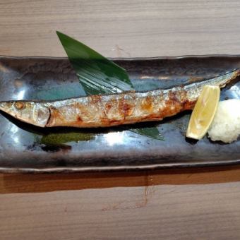 Grilled salted saury