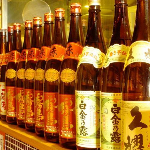 All you can drink sake and shochu!