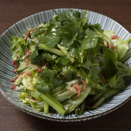 Salad for coriander lovers