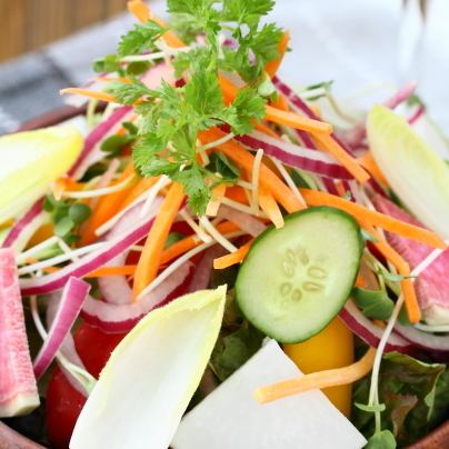 Colorful vegetable salad