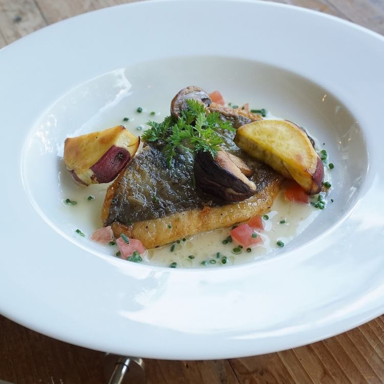 Phantom Cafe ストライププレート 25cm Phantom Cafe ストライププレート 25cm Phantom Cafe ストライプ