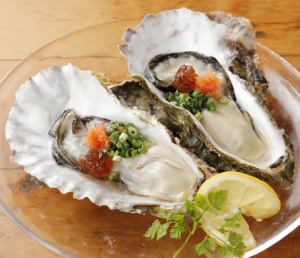 Raw oysters with shells