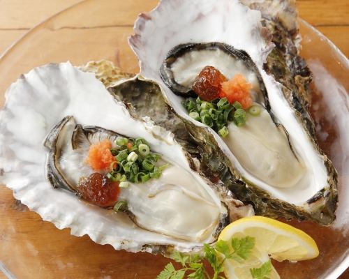Raw oysters 200 yen every Thursday