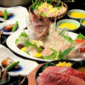 <120分钟畅饮> 含整条鲷鱼刺身和牛里脊牛排!8道菜,4000日元(含税)