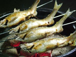 新潟は川魚も楽しめる。6月～9月末