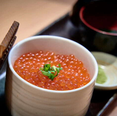 Hokkaido salmon roe bowl